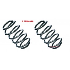ΕΛΑΤΗΡΙΑ ΟΠΙΣΘΙΟΥ ΑΜΟΡΤΙΣΕΡ  ,VW ,SKODA  ,RAPID 2012-2022  ,GOLF '5'  ,GOLF '6'